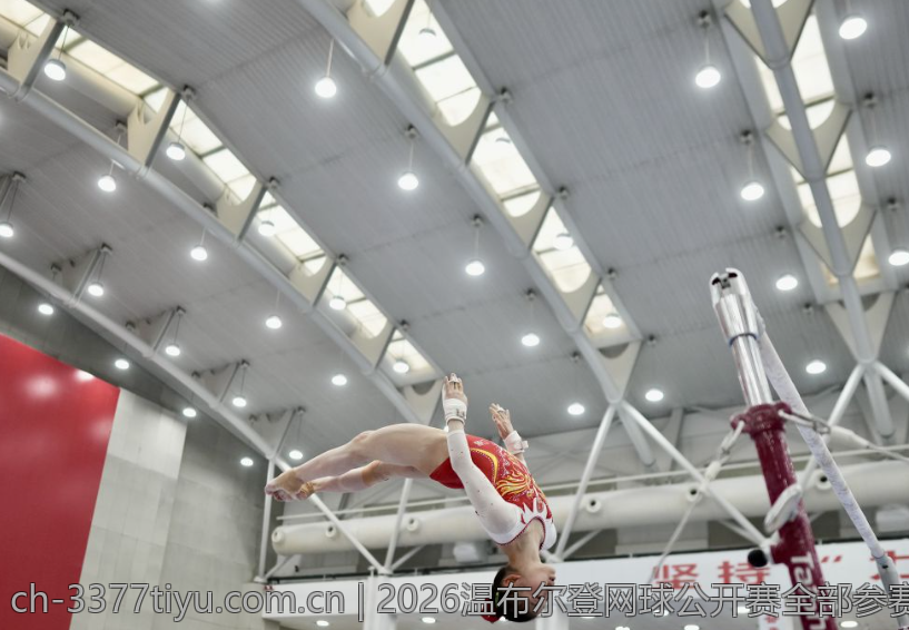 2026温布尔登网球公开赛全部参赛签表详细解析