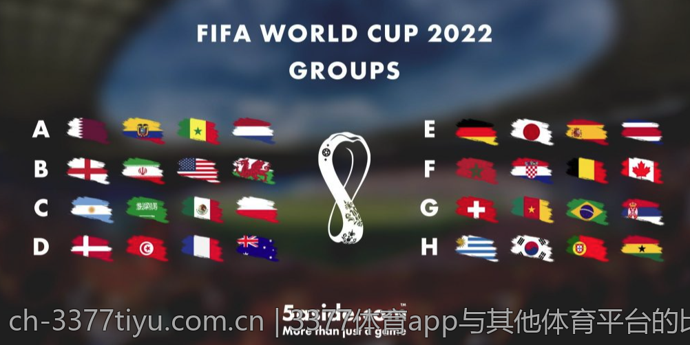 3377体育app与其他体育平台的比较