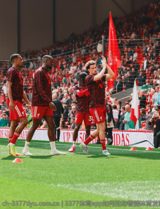3377体育app如何推动智能体育发展
